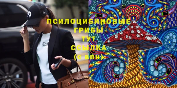 шишки Армянск